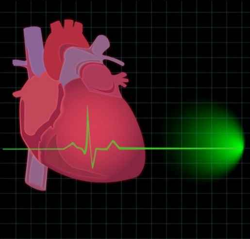 сердце  и  кардиограмма